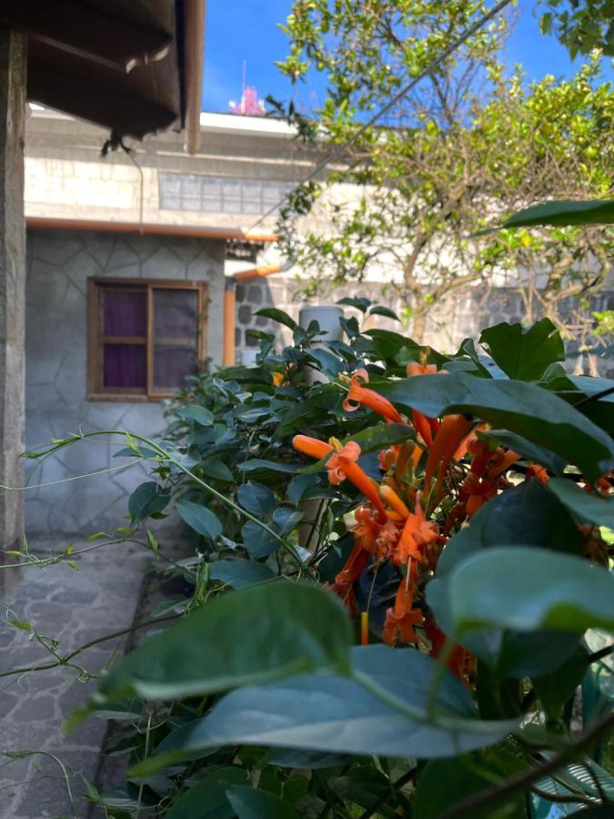 Casa Qatzij - Guest House, Lake Atitlan San Lucas Tolimán 外观 照片