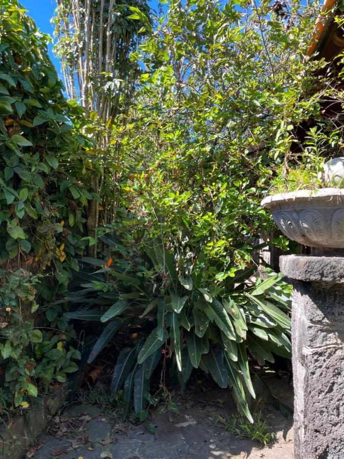 Casa Qatzij - Guest House, Lake Atitlan San Lucas Tolimán 外观 照片