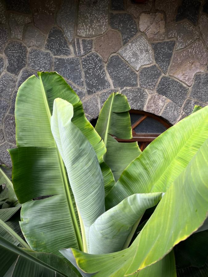 Casa Qatzij - Guest House, Lake Atitlan San Lucas Tolimán 外观 照片