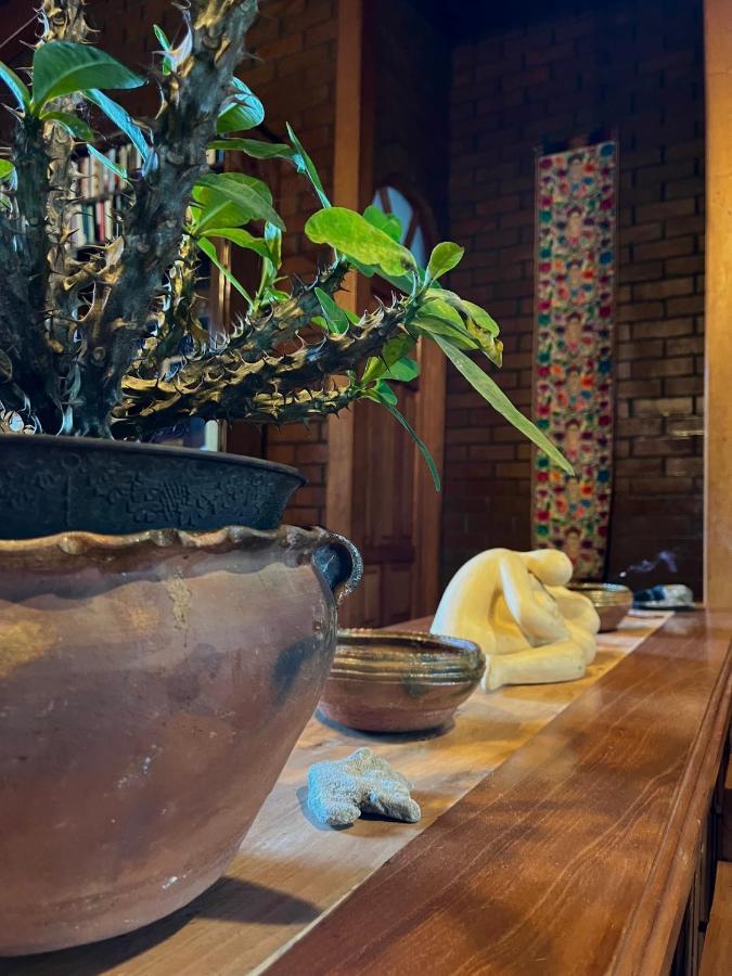 Casa Qatzij - Guest House, Lake Atitlan San Lucas Tolimán 外观 照片